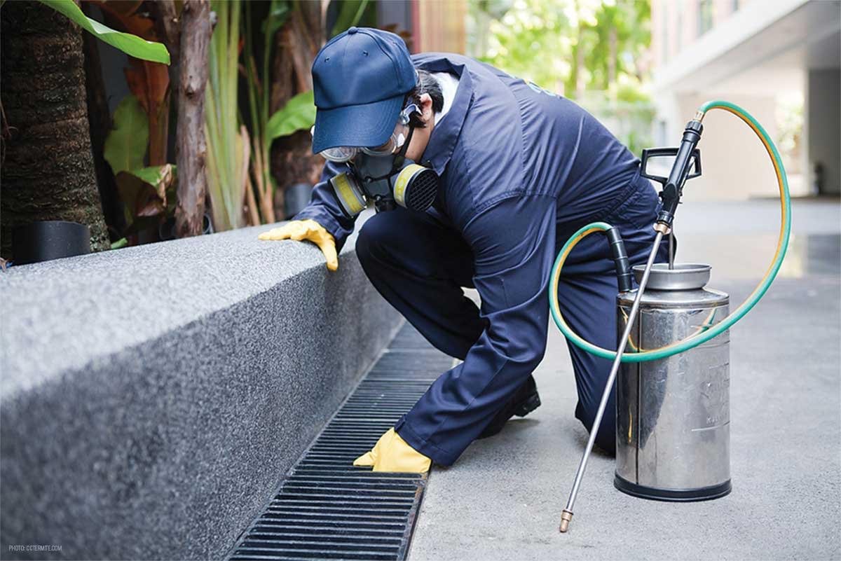 Termite control technician treating a San Antonio home foundation