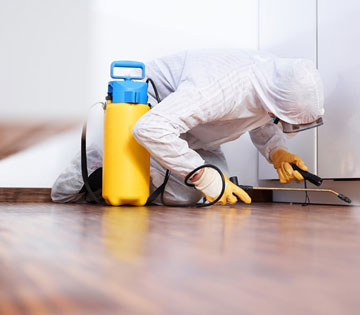Rodent control technician sealing and treating a baseboard in a San Antonio home